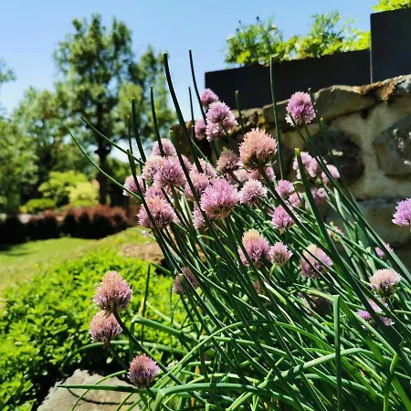 Le Clos Des Pierres Rouges Bed & Breakfast Saint-Privat-dʼAllier